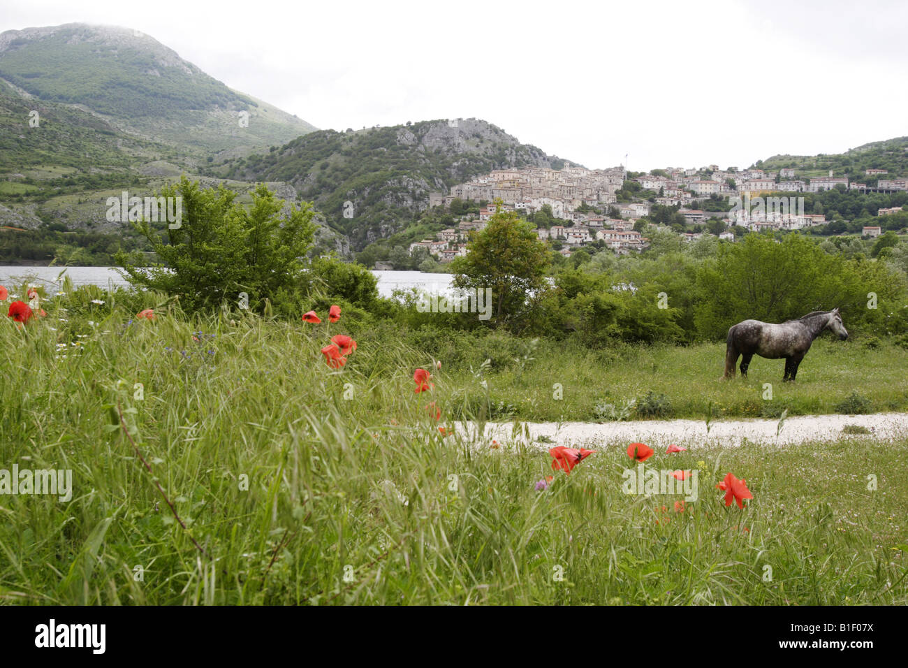 Barrea, Nationalpark Abruzzen, Italien, Europa Stockfoto