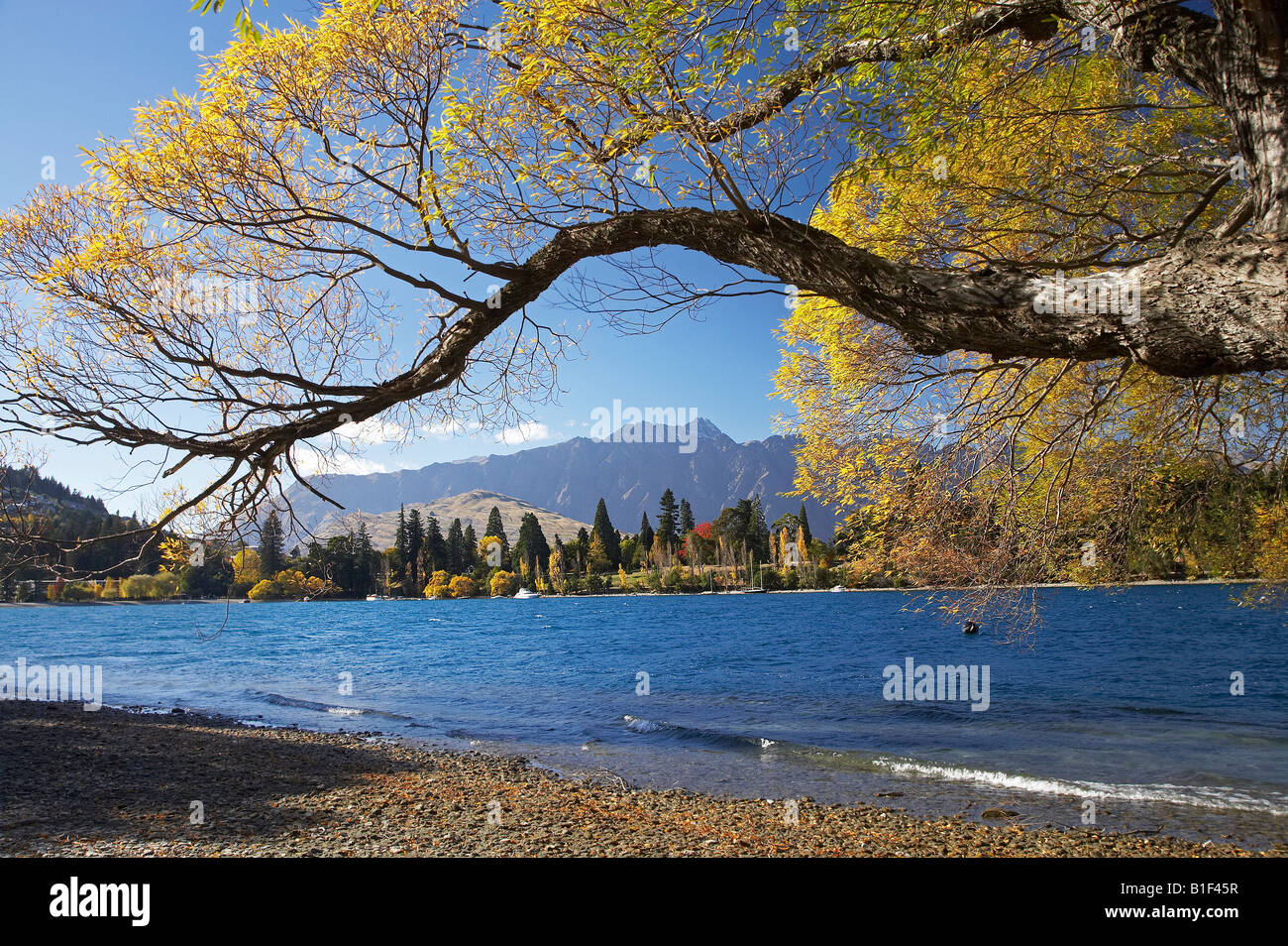 Willow Tree Lake Wakatipu und die Remarkables Queenstown Otago Südinsel Neuseeland Stockfoto