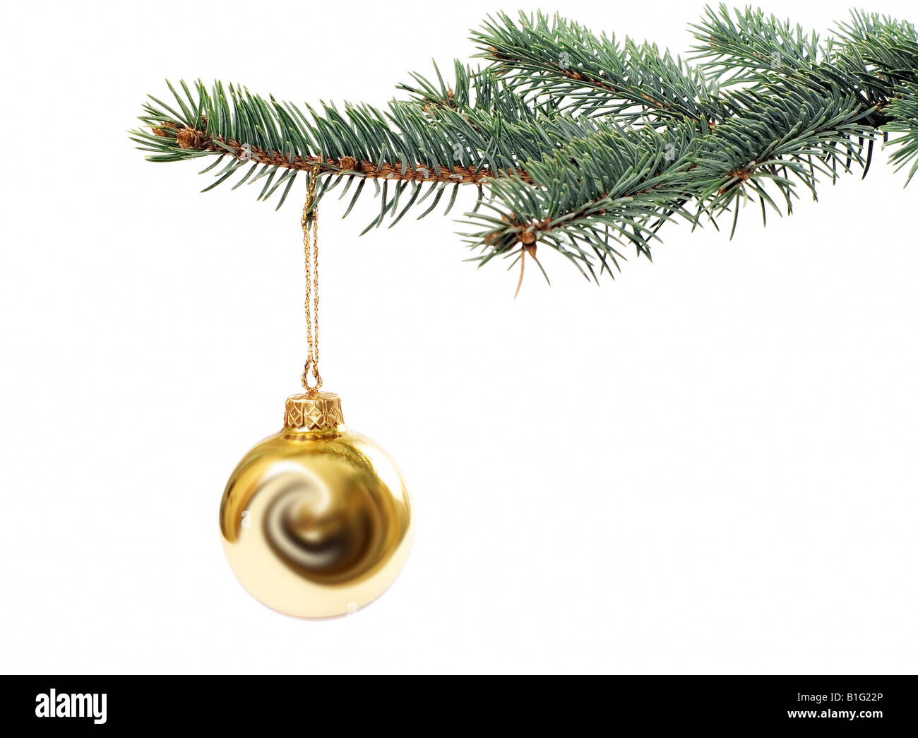 Single gold Christbaumkugel auf Baum (Christbaumkugeln) Stockfoto