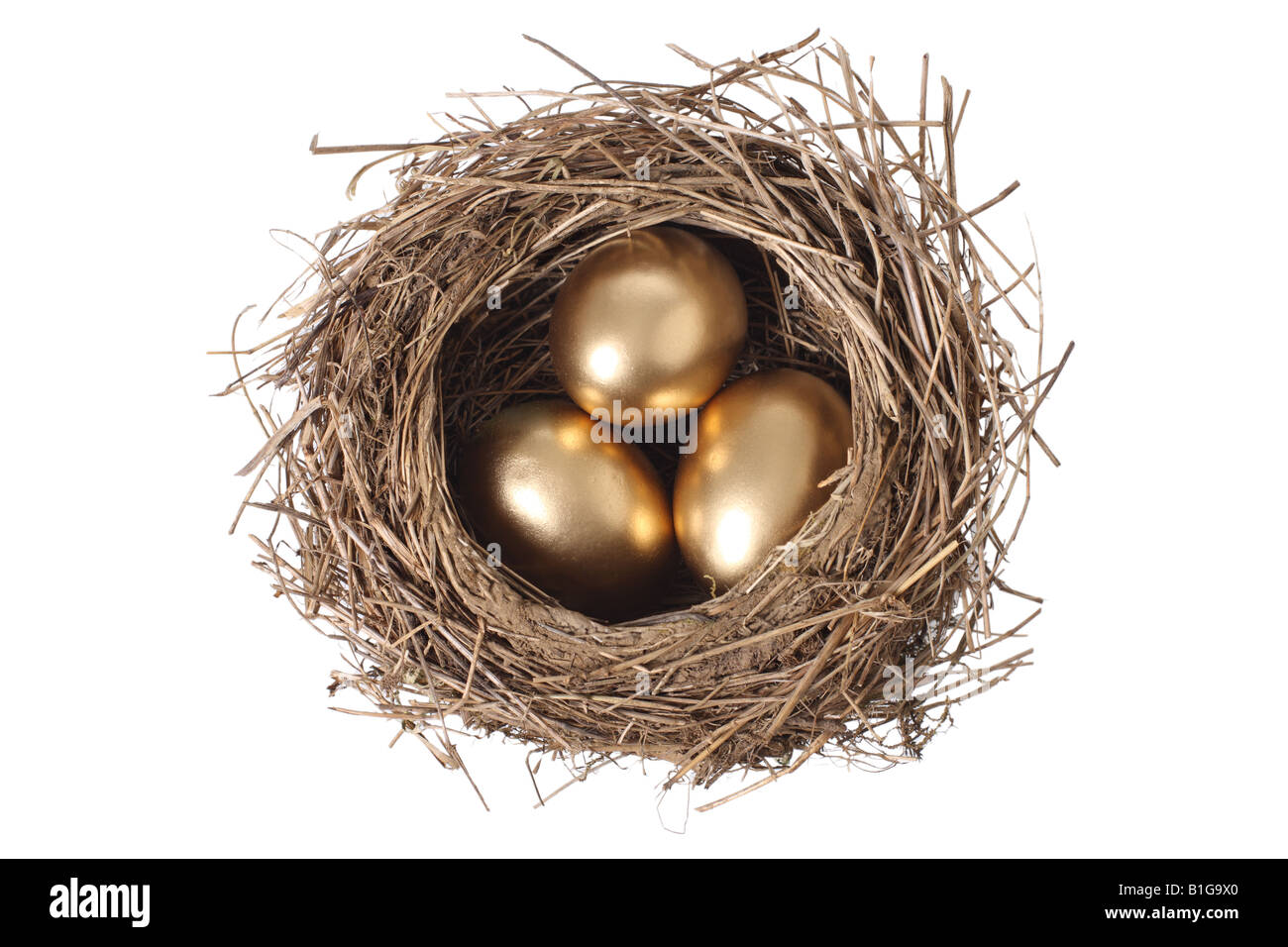 Vogel s Nest mit drei goldenen Eiern ausgeschnitten auf weißem Hintergrund Stockfoto