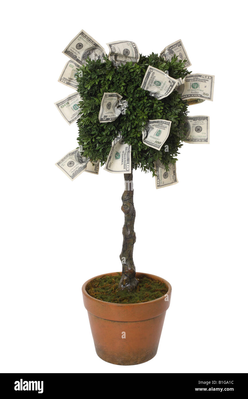 Geld wächst auf einem Baum ausschneiden Stockfoto