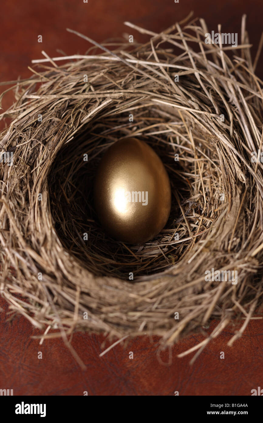 S Vogelnest mit goldenen Ei Stockfoto