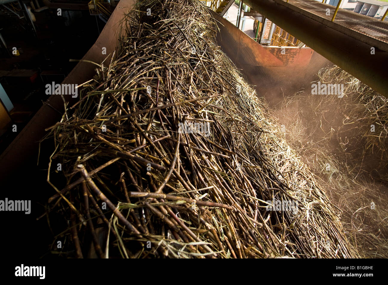 Sao Francisco Ethanol und Zucker Pflanze Zuckerrohr Schleifen Sertaozinho Stadt Bundesstaat Sao Paulo Brasilien Mai 2008 Stockfoto