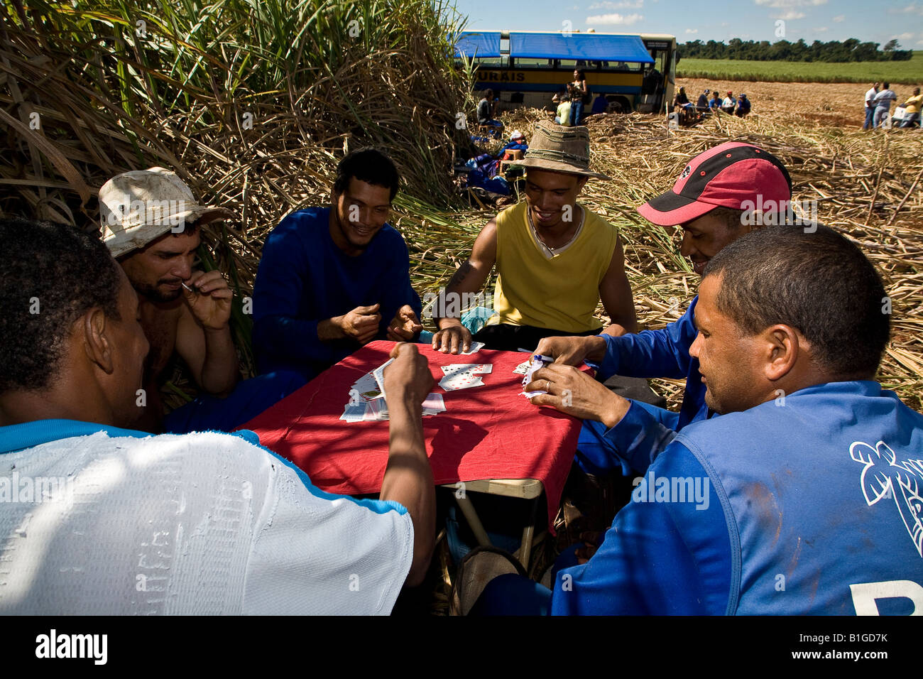 Zuckerrohr-Fräser spielen Karten in der Mittagspause im Feld Guariba Bundesstaat Sao Paulo Brasilien Mai 2008 Stockfoto