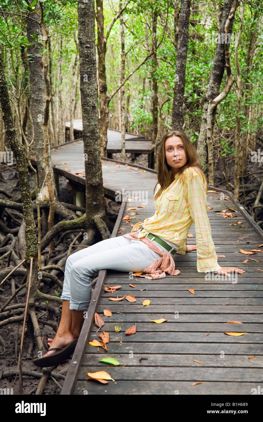 Mangroven Boardwalk - Cairns, Queensland, Australien Stockfoto