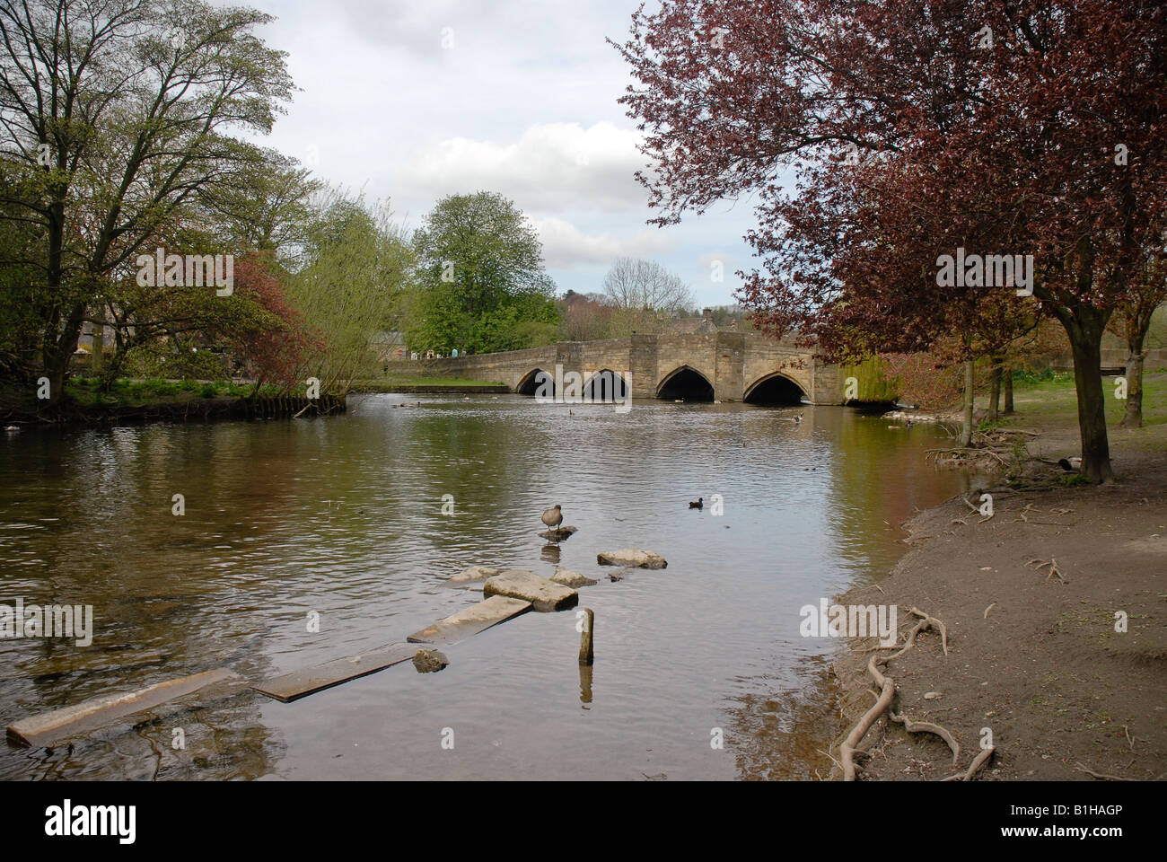 Am Flussufer in Bakewell Stockfoto