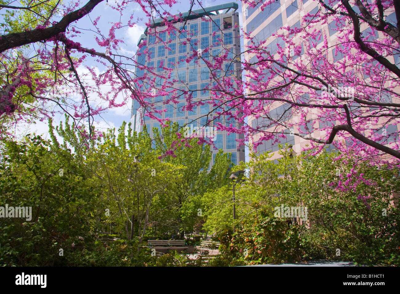 Gallivan Center Stadtpark im Zentrum von Salt Lake City Utah USA Stockfoto