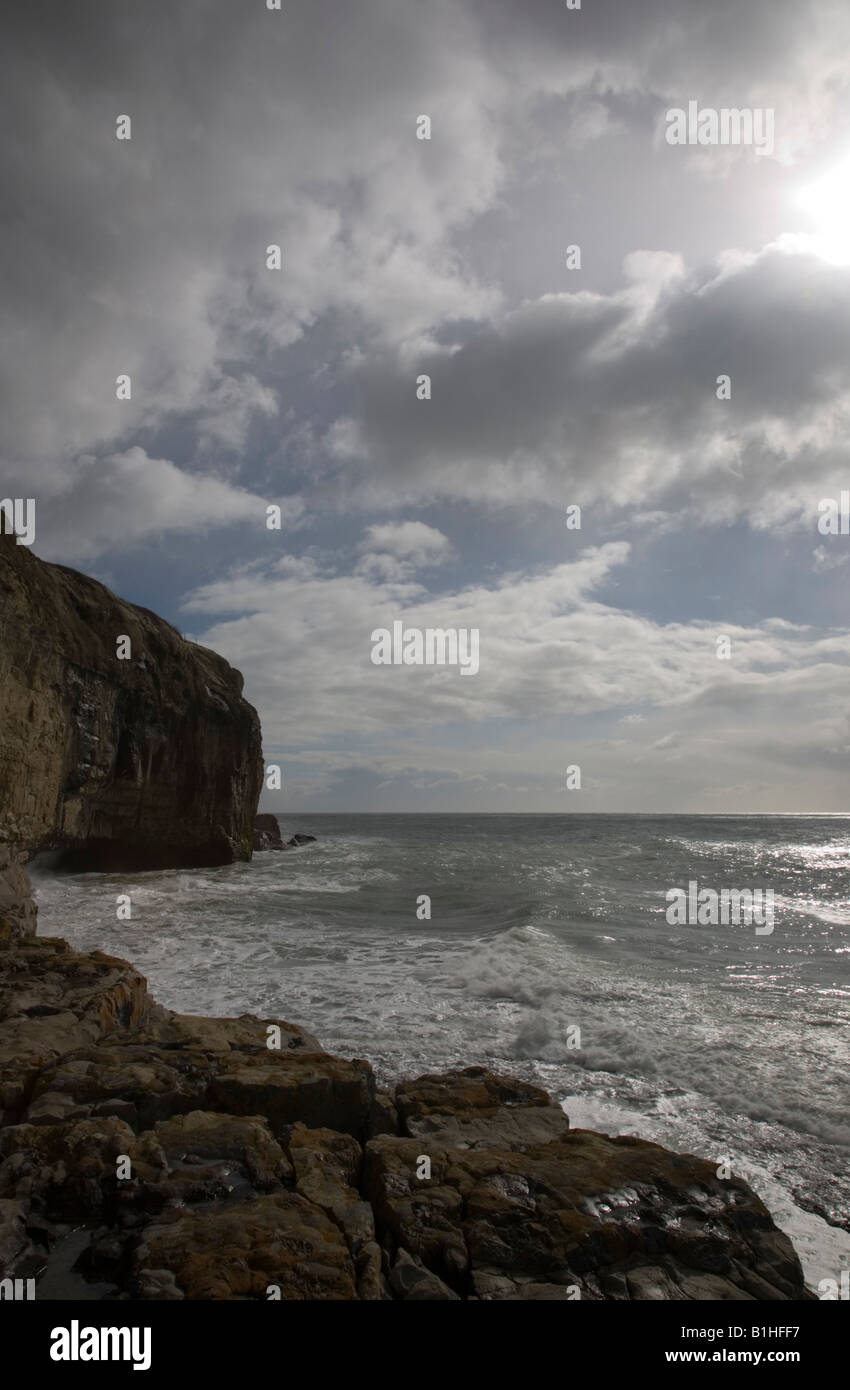 Dancing Ledge Isle of Purbeck Dorset UK Stockfoto