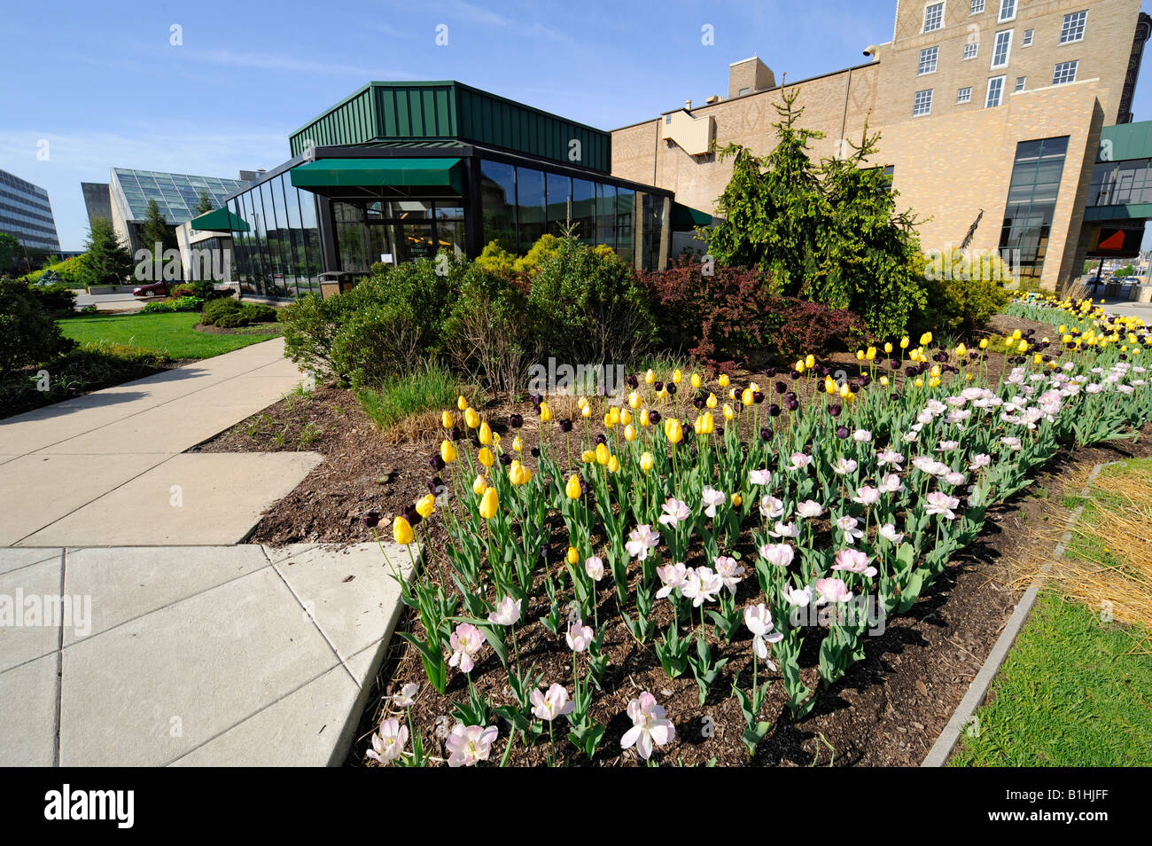 Foellinger Freimann botanischen Wintergarten von Fort Wayne, Indiana Stockfoto