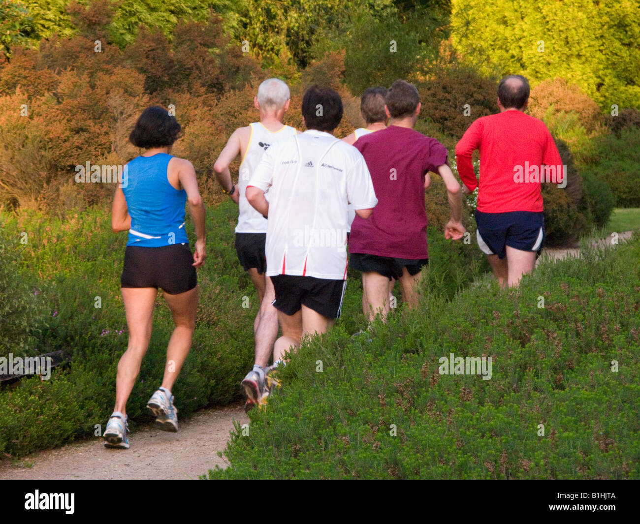 Läufer in die Isabella Plantation. Richmond Park. Richmond. London. UK Stockfoto