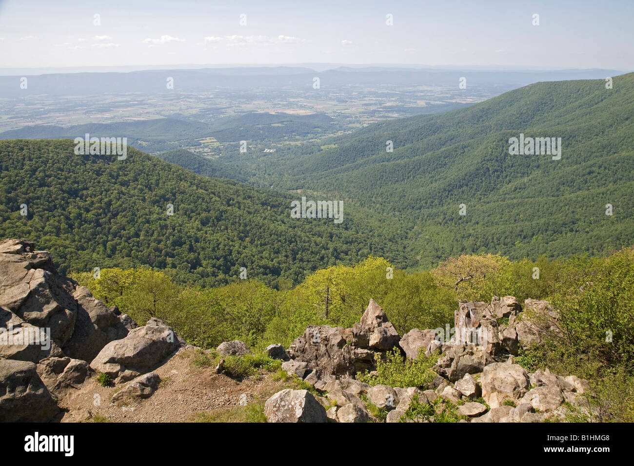 Das Shenandoah-Tal von Hawksbill Berg Stockfoto
