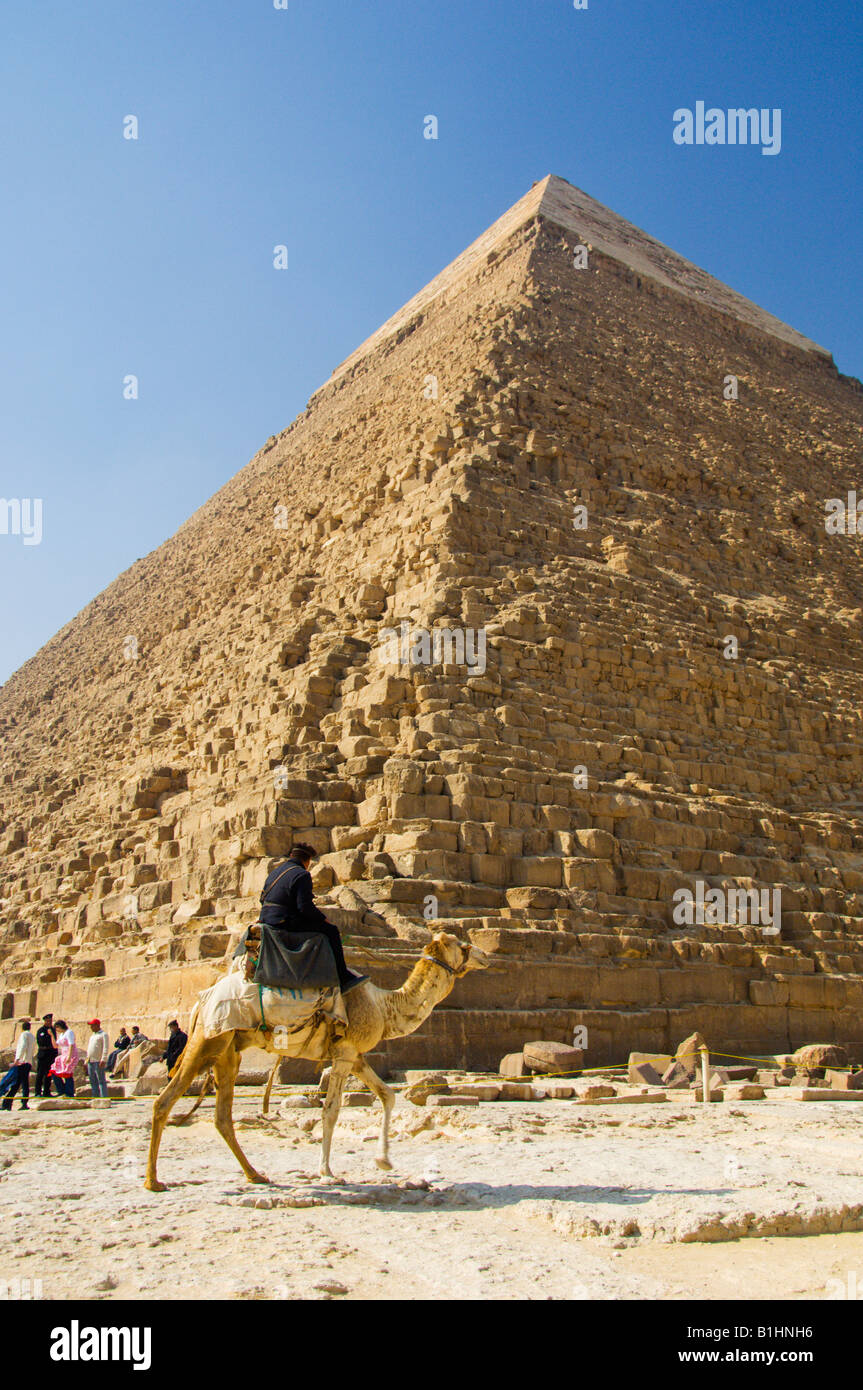 Ein Kamel mit der Chephren-Pyramide in Gizeh in der Wüste in der Nähe von Kairo Stockfoto