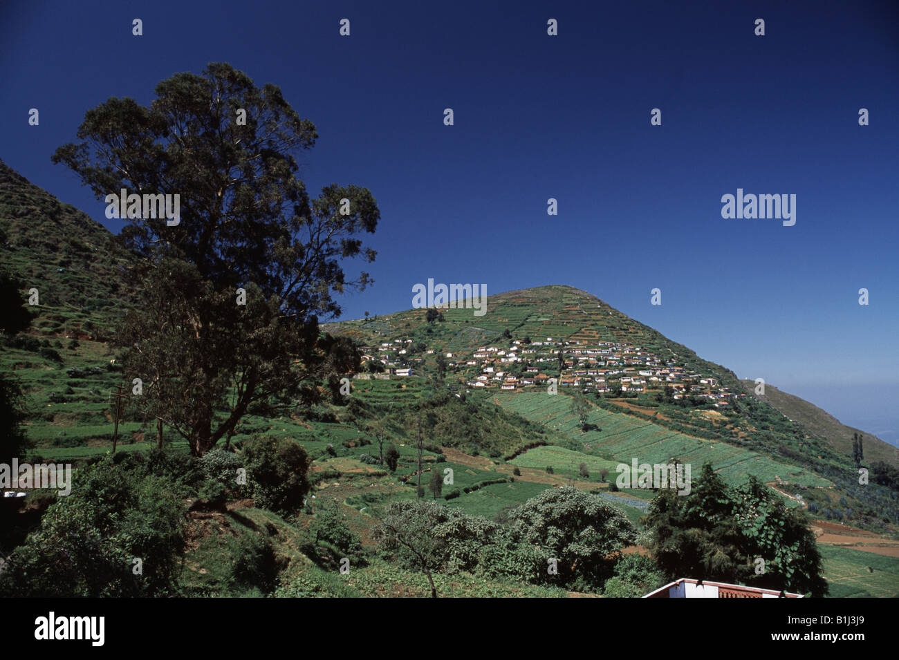 Panoramablick auf eine hügelige Landschaft, Kalhatty Pisten, Nilgiris Bezirk, Tamil Nadu, Indien Stockfoto