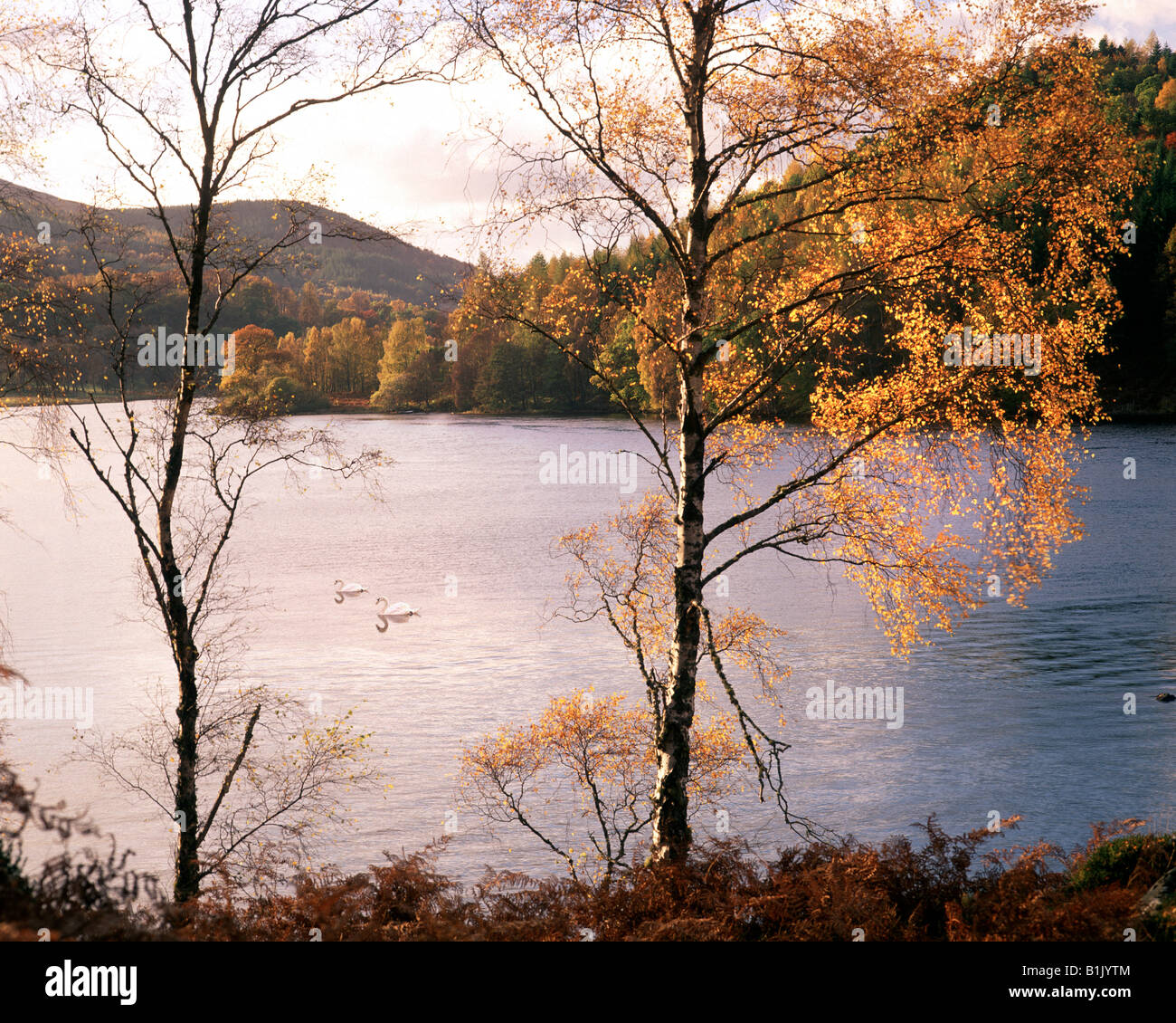 GB - Schottland/TAYSIDE: Loch Tummel Stockfoto