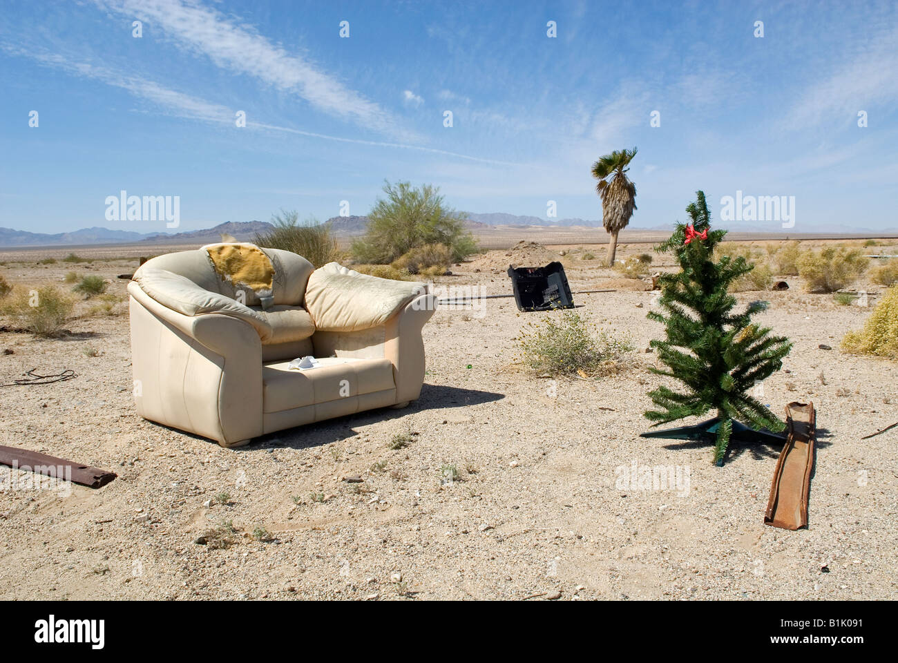 Weihnachtsbaum und Sessel Mojave-Wüste in der Nähe von Geisterstadt Reis, Highway 62, Kalifornien, USA. Stockfoto