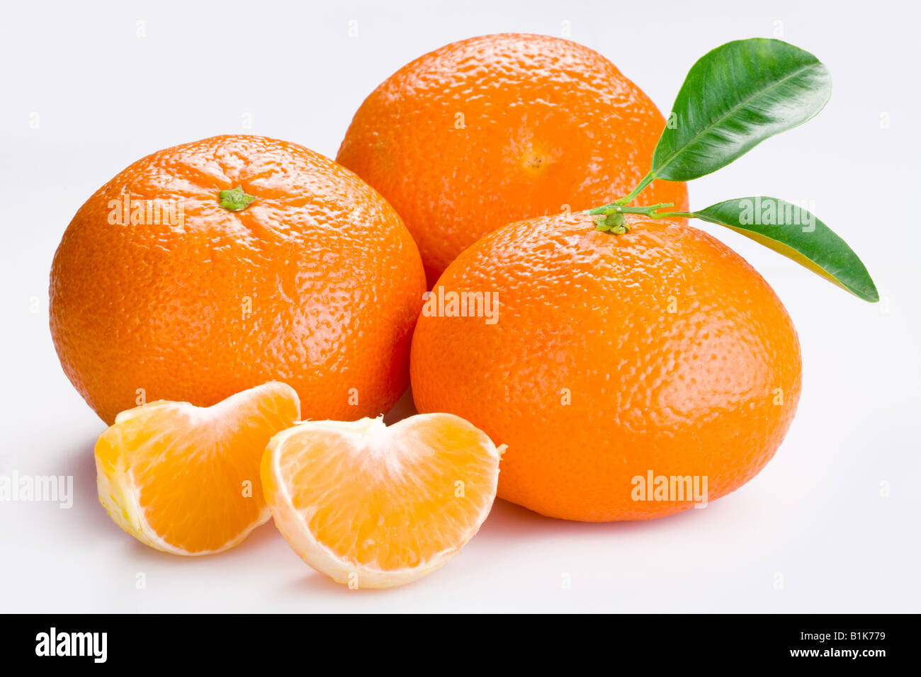 Mandarine-Mandarine Stockfoto
