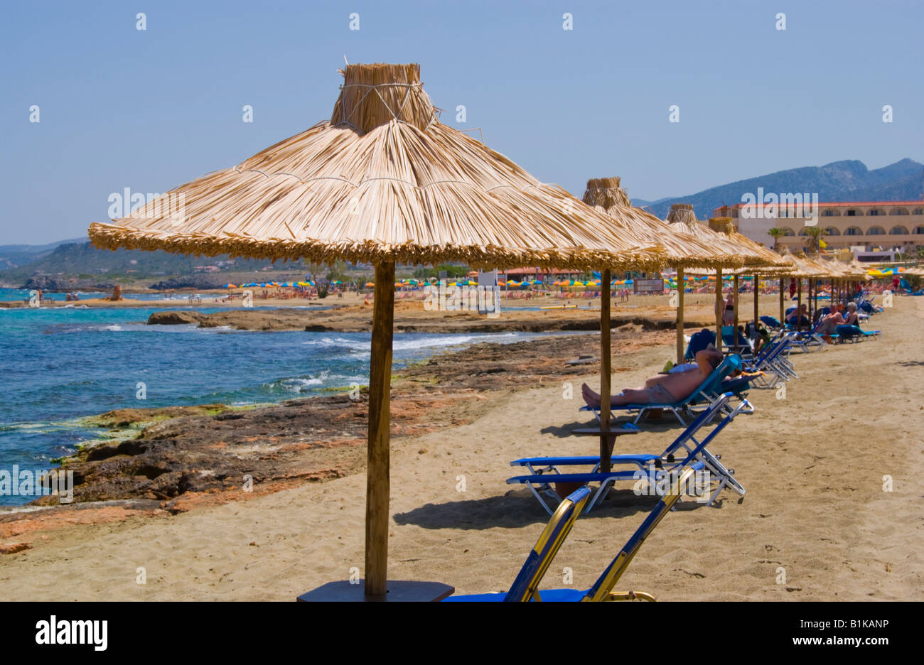 Was Kosten Liegen Und Sonnenschirme Auf Kreta Crete Thatched Sonnenschirm und Liegebetten am Strand von Malia auf der