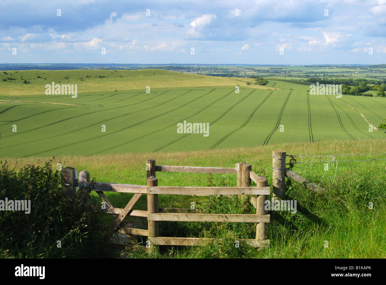 Ansichten der Kreide Downlands am Rand der Chiltern Hills, Ashridge Estate, Buckinghamshire, England, Vereinigtes Königreich Stockfoto