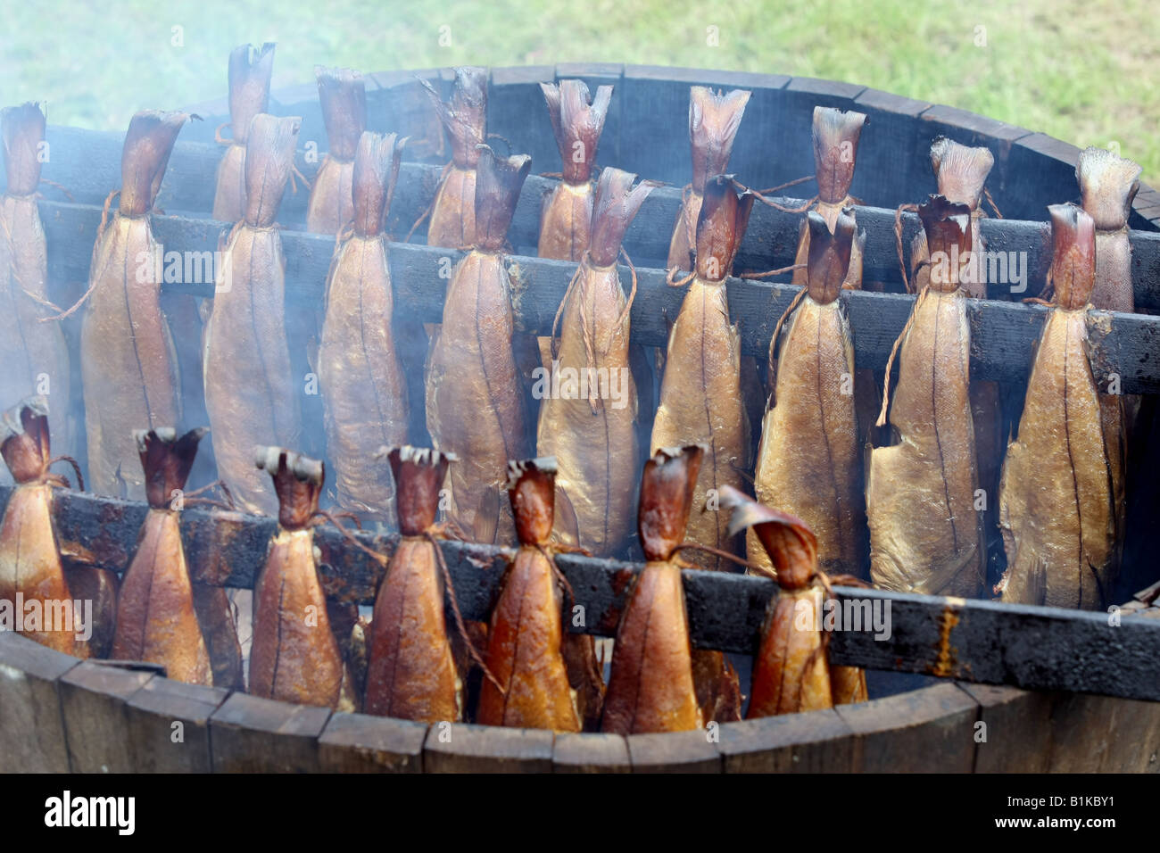 Arbroath Smokies. Schellfisch auf traditionelle Weise im Holzfass über ein Hartholz-Feuer der Buche und Eiche geräuchert. Stockfoto