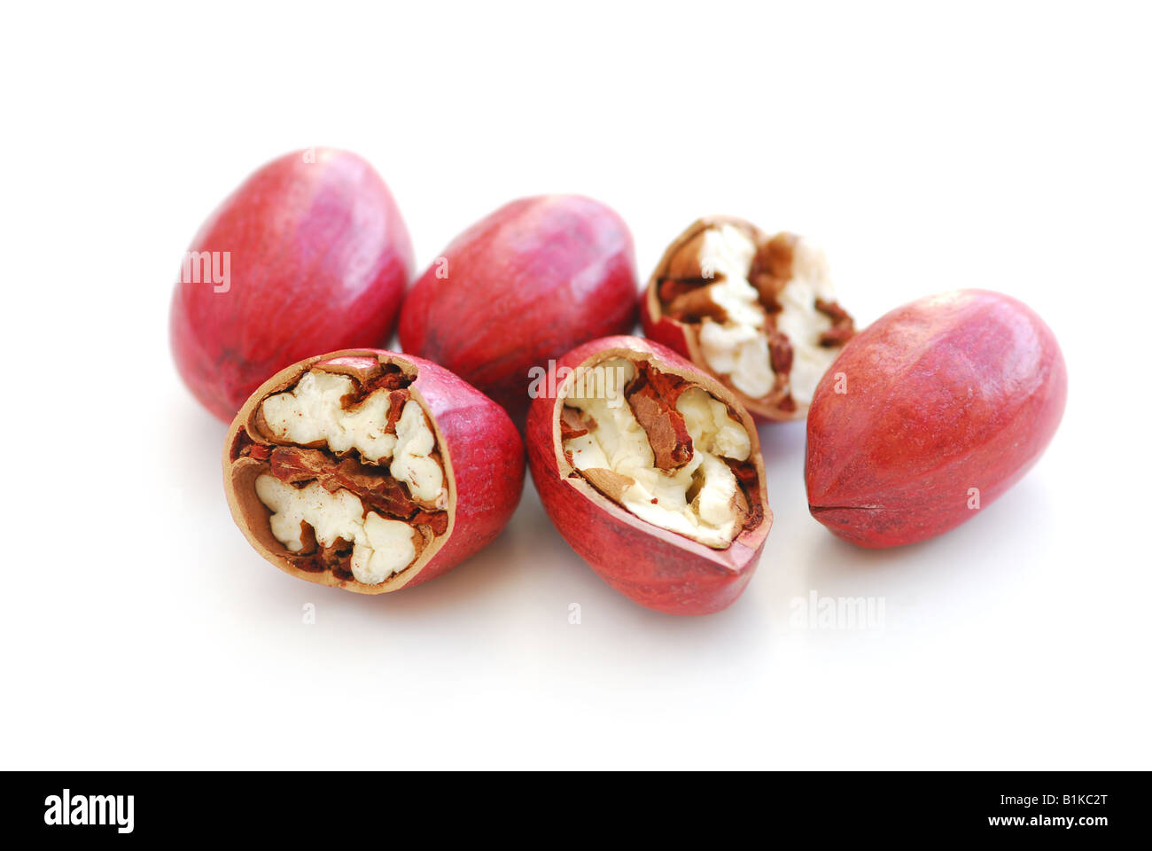Pekannüsse Nahaufnahme isoliert auf weißem Hintergrund Stockfoto