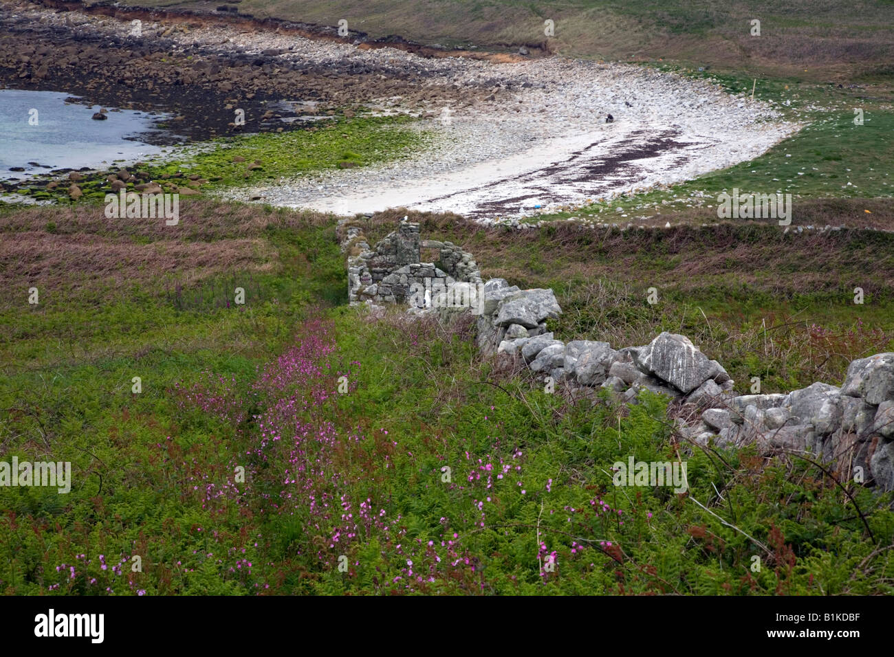 Samson ruiniert Haus Isles of Scilly Stockfoto
