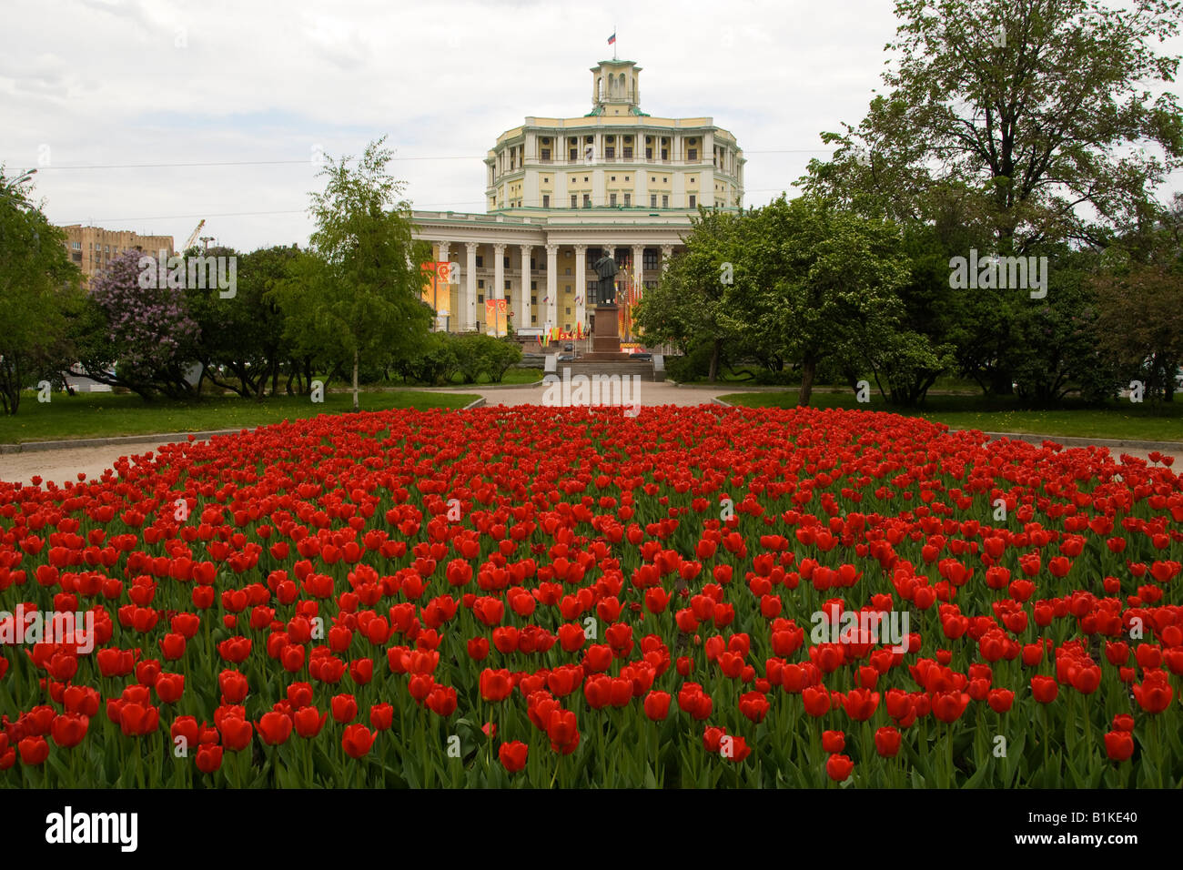 Rote Tulpen und russische Armee Theater, Suvorovskaya Ploschad, Moskau, Russland Stockfoto