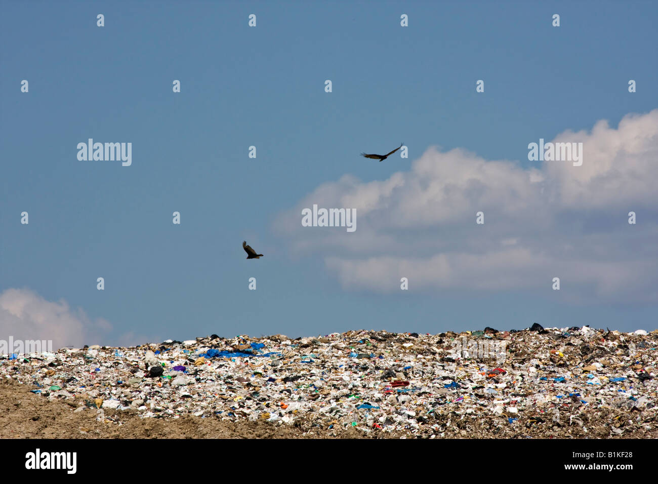 Siedlungsmülldeponie Müllhalden von festen Deponien Müllhalden Haufen mit Vögeln im Freien niemand in den USA horizontal hochauflösend Stockfoto