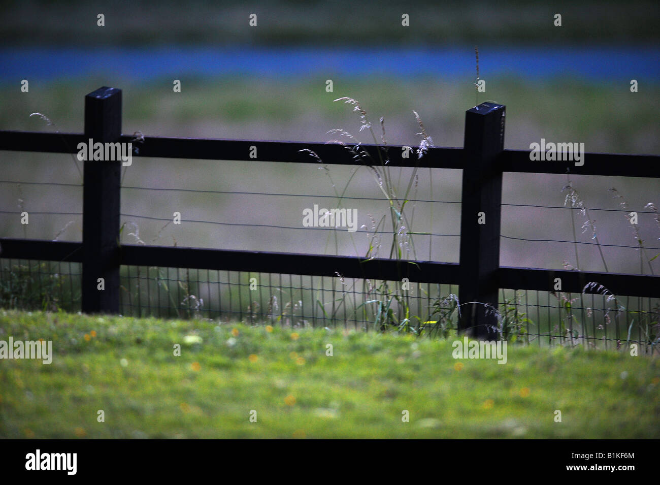 Gartenzaun Stockfoto