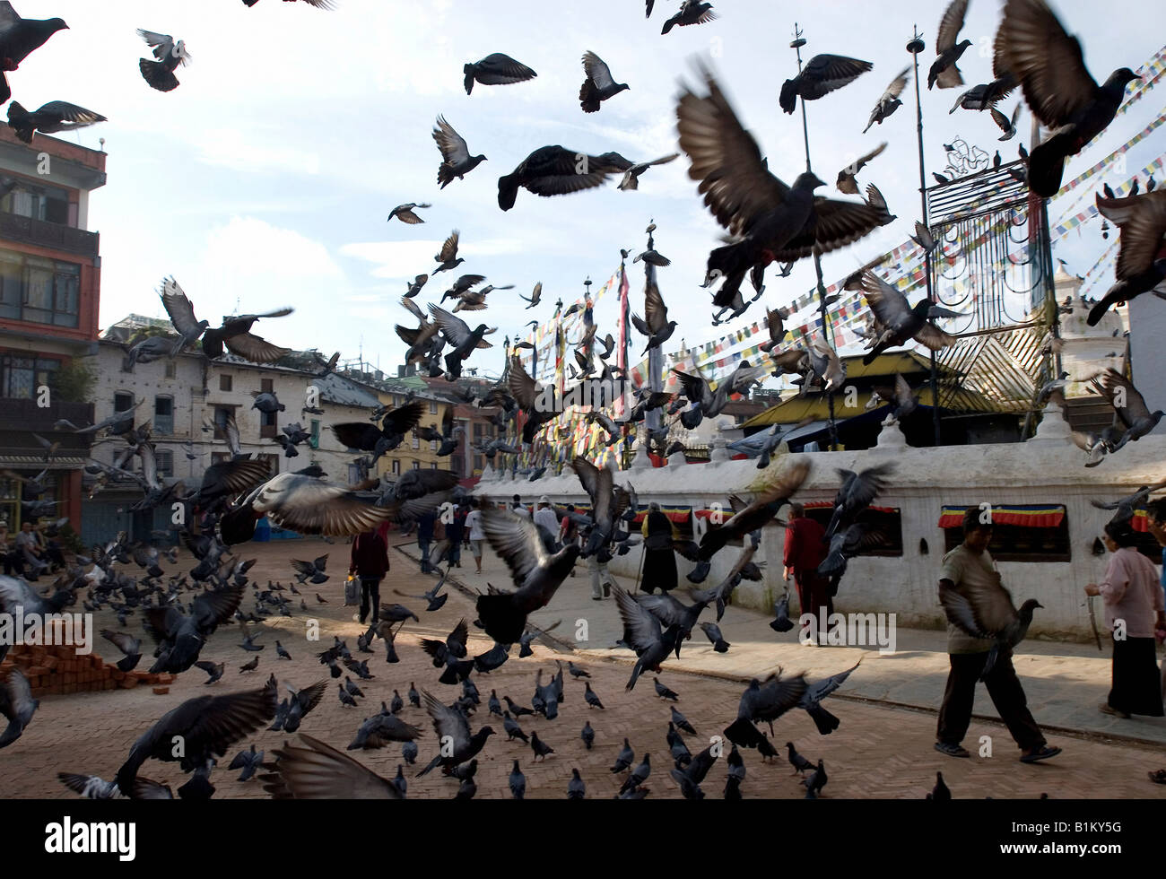 Tauben auf der Boudhanath Stupa, Kathmandu, Nepal Stockfoto