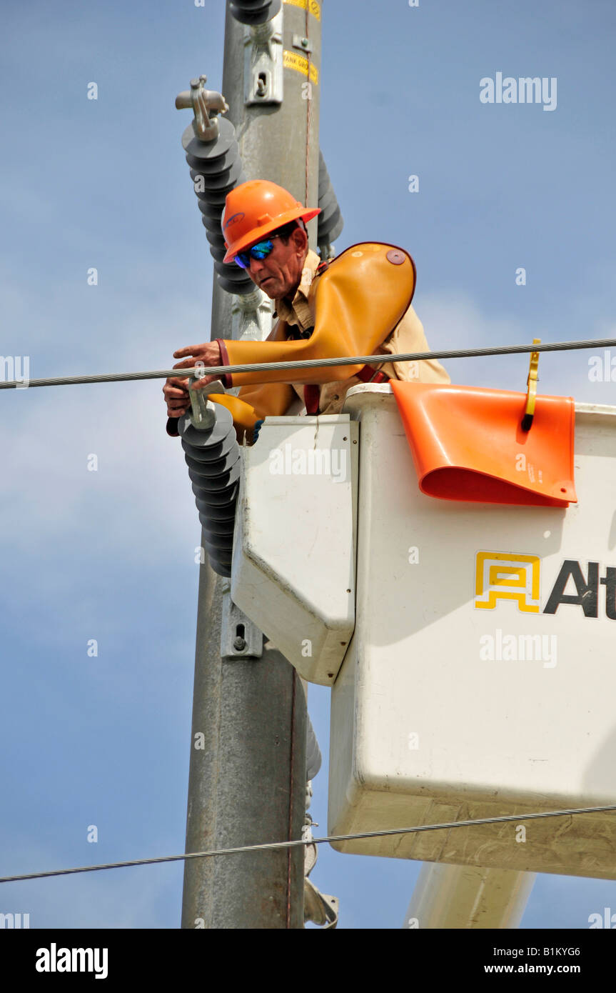 Electrical power lines florida Fotos und Bildmaterial in hoher