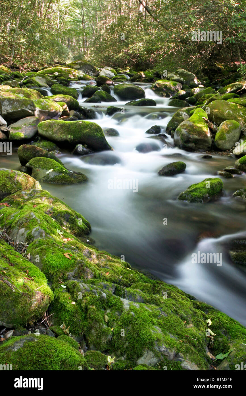 Oconaluftee River in den Great Smoky Mountains National Park Stockfoto