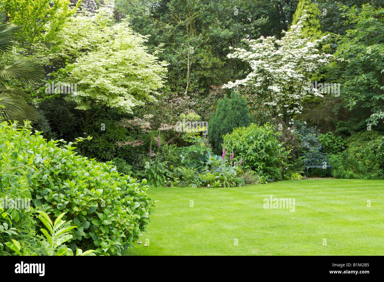 alte Bäume und Sträucher im Garten Stockfoto