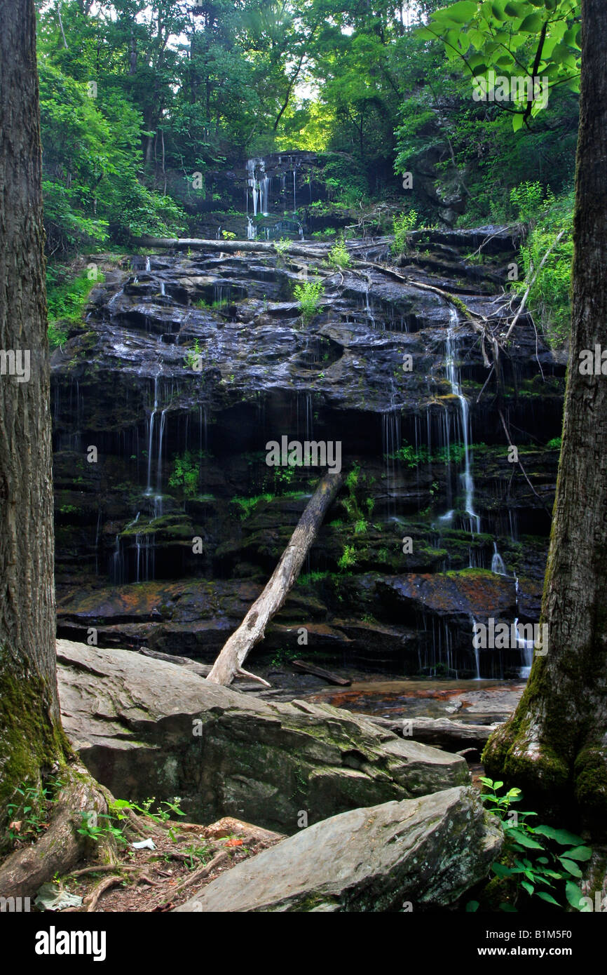 Oconee-Station fällt in South Carolina Stockfoto