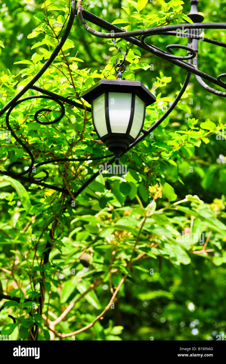 Schmiedeeiserne Laube mit Laterne im grünen Garten Stockfoto