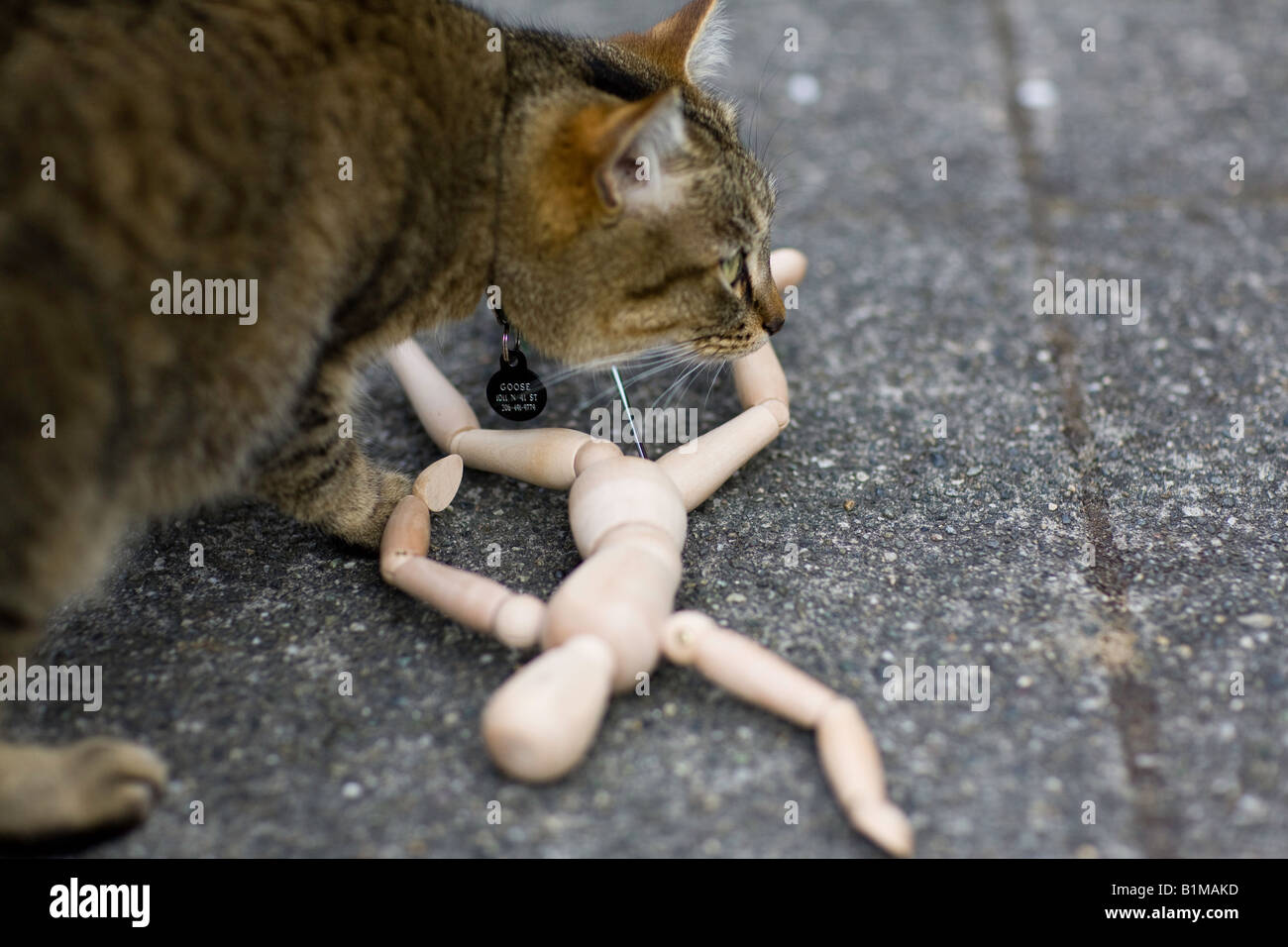 Katze und eine Zeichnung-Figur auf der Straße Stockfoto