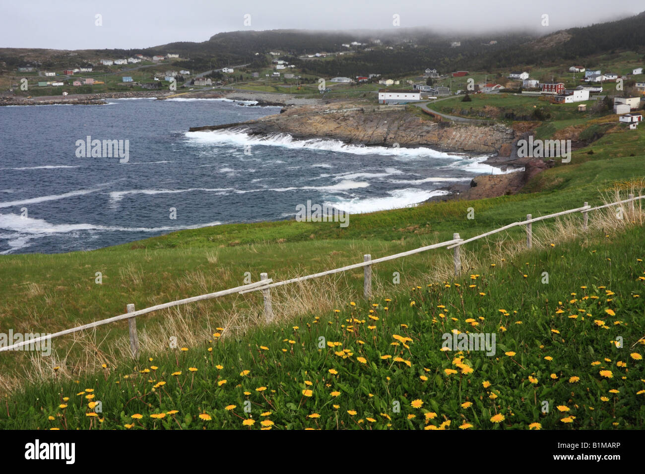 Zerklüftete Küste an die Stadt hierfür im nördlichen Avalon Halbinsel von Neufundland und Labrador in Kanada Stockfoto