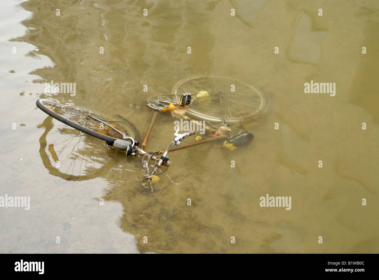 Fahrrad gedumpten in einem seichten Fluss in Leuven, Belgien Stockfoto