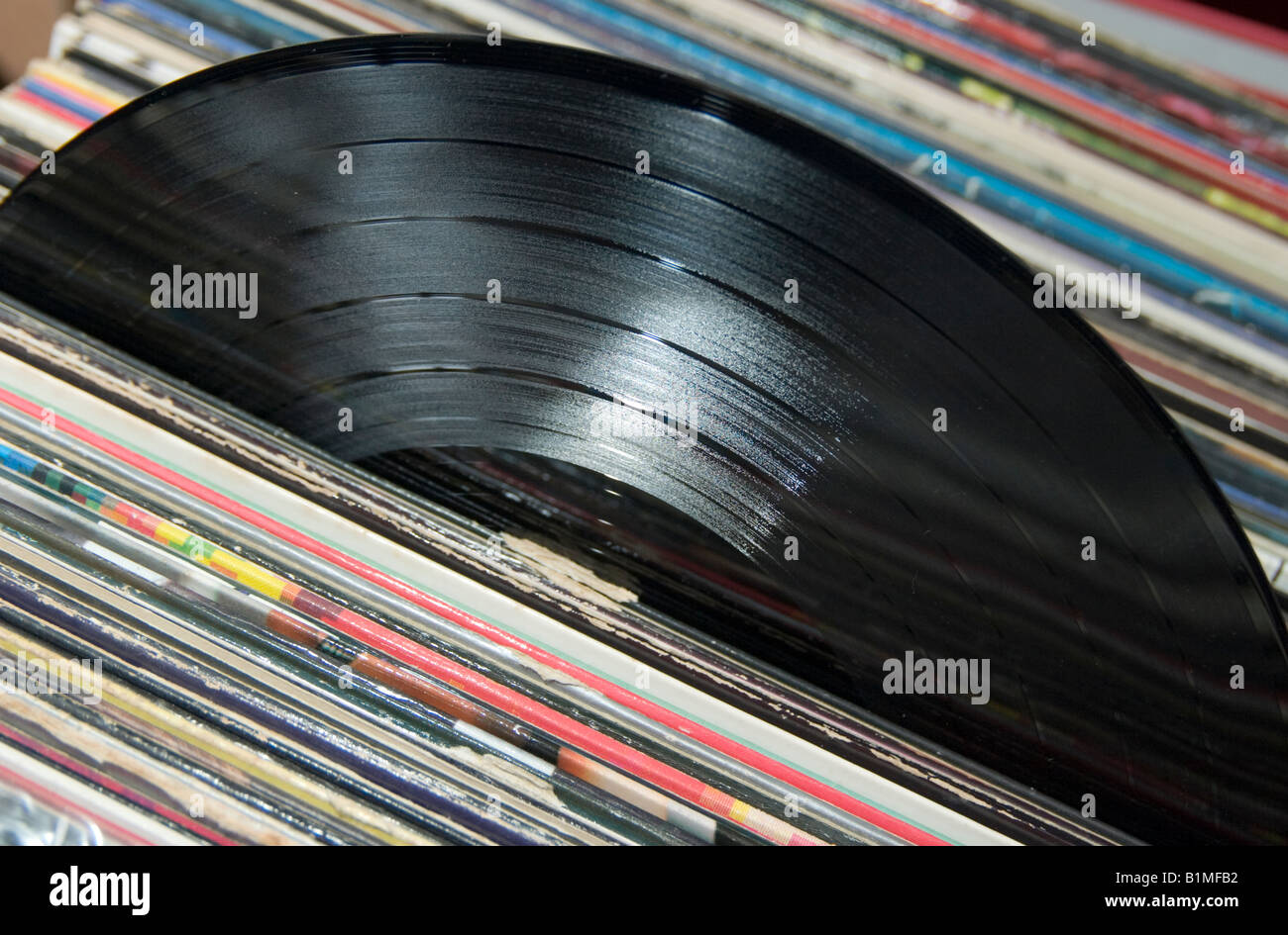 Vinyl LP Plattensammlung Stockfoto