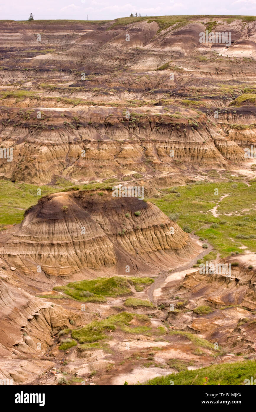 Alberta Badlands Stockfoto