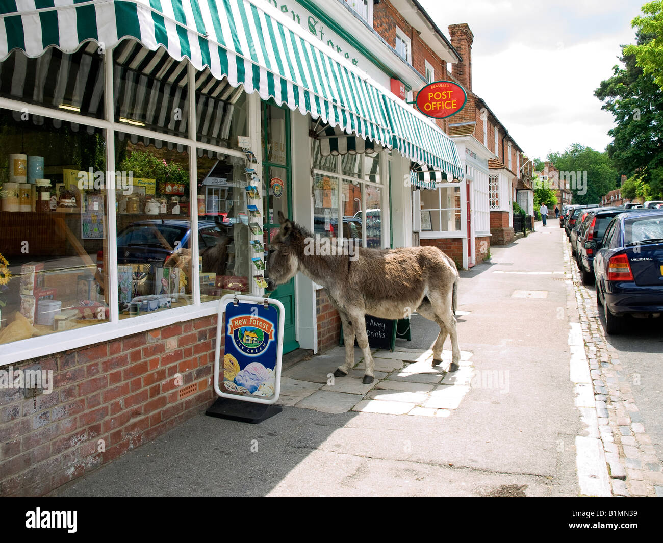 Esel stehend außerhalb Dorfladen in Beaulieu New Forest Hamphire UK Stockfoto