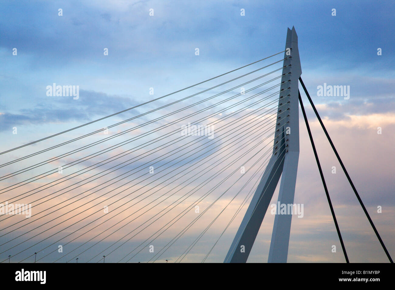 Eramsmus Brücke Rotterdam Niederlande Stockfoto