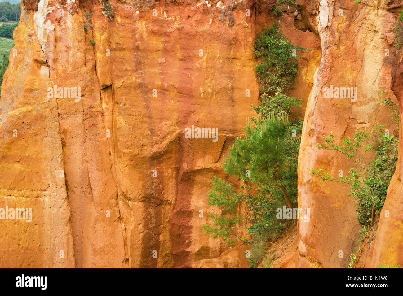 Ockerfarbenen Felsen bei Roussillon in der Luberon Gegend Frankreichs, wo rohe Pigment für Künstler Farben vor Kunststoffe abgebaut wurde. Stockfoto