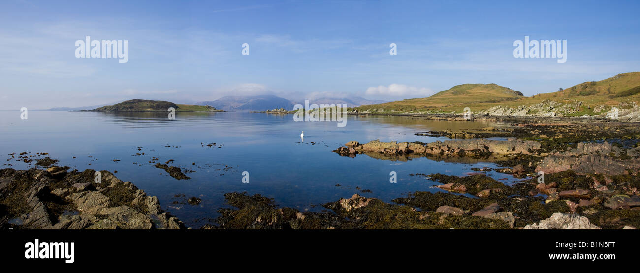 Panoramablick über ein Höckerschwan in Umfrage einer Cheo Bucht (Misty Pool), Jura, Schottland Stockfoto