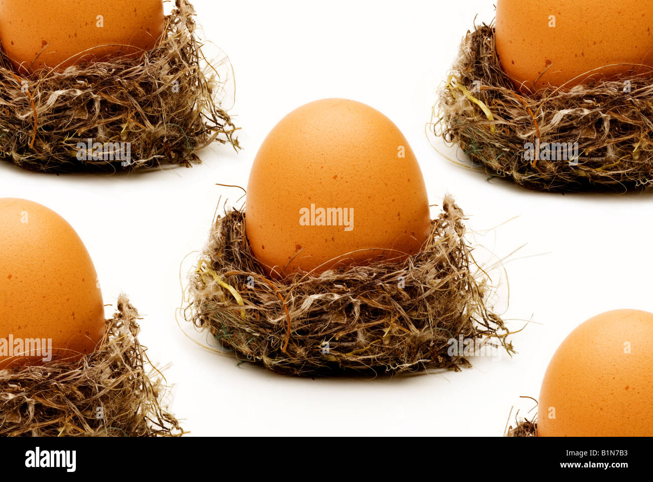 Fünf Eiern in einem Nest, Finanzkonzept. Stockfoto