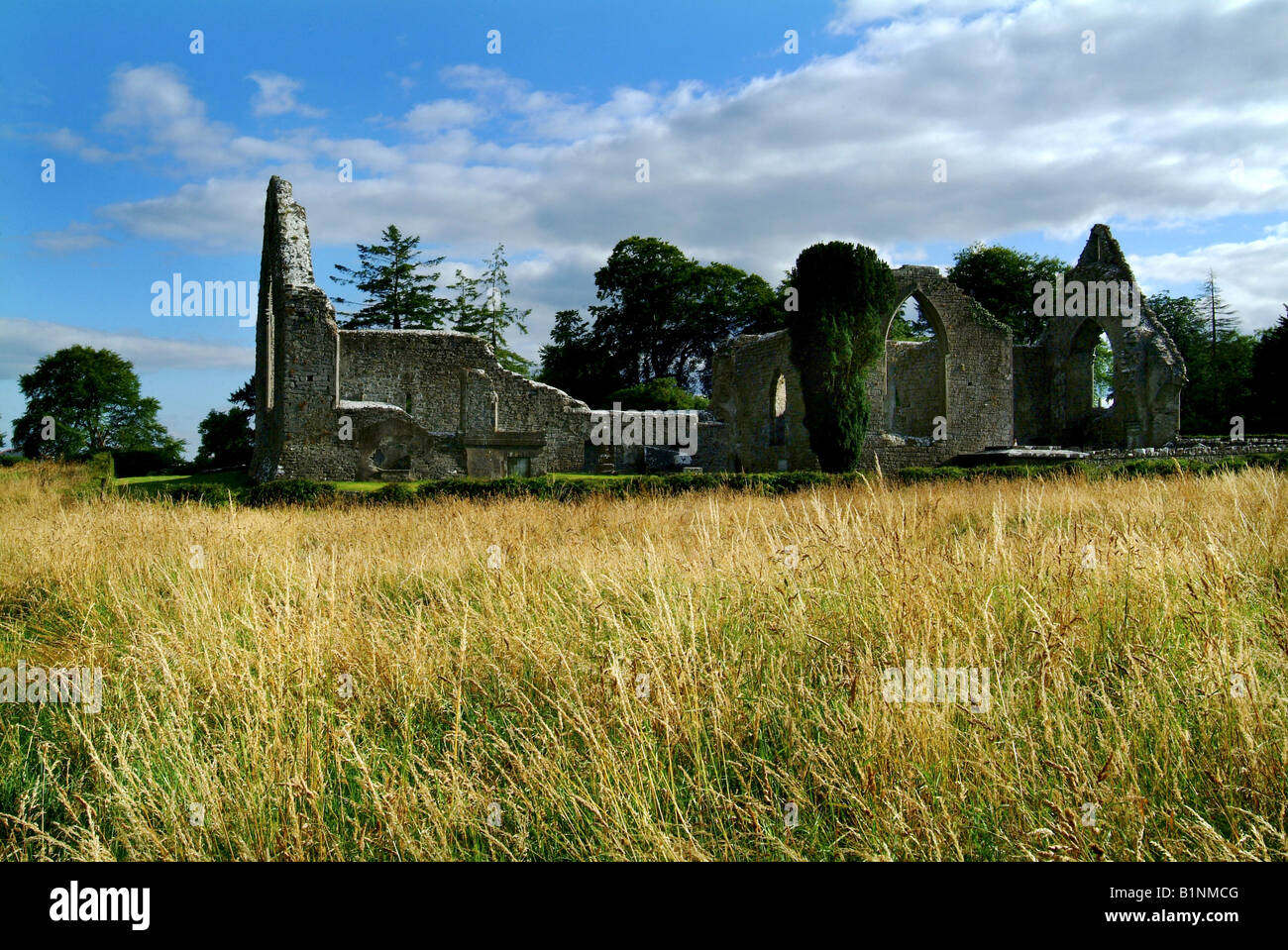 Roscommon dominikanischen Kloster Irland Nationaldenkmal historischen Standort Kirche ruinieren König Felim O Connor Stockfoto