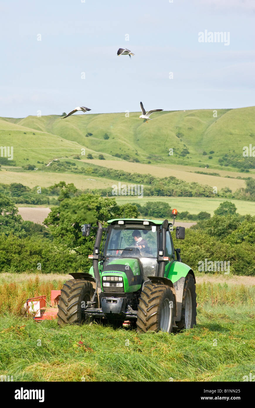 Deutz Fahr Agrotron 180 7 Traktor italienischen Schnitt Silage in einem Feld von Wiltshire Stockfoto