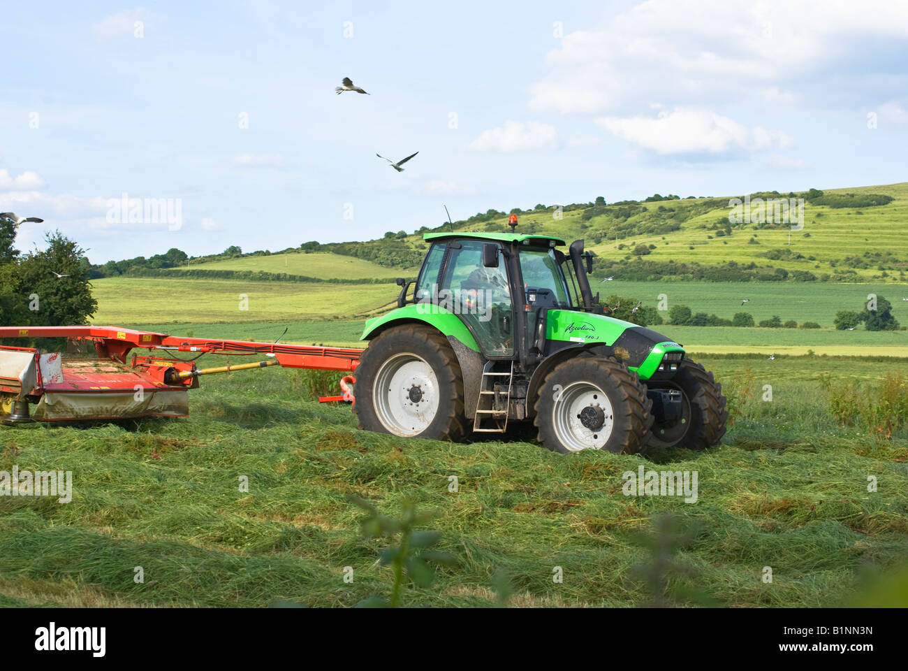 Deutz Fahr Agrotron 180 7 Traktor hergestellt in Italien schneiden Silage in einem Feld von Wiltshire Stockfoto