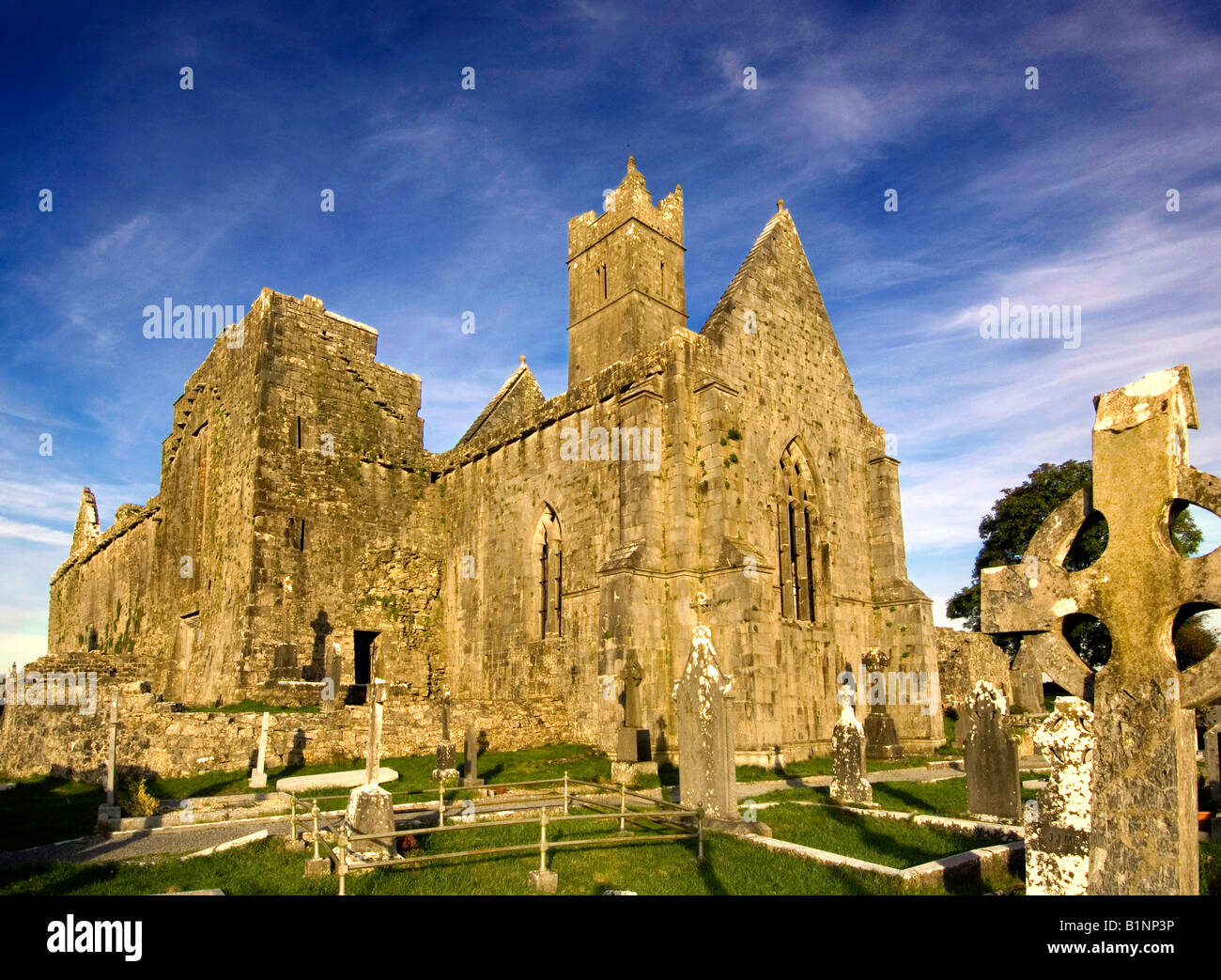 Quin Franziskaner Kloster Co.Clare Irland Stockfoto