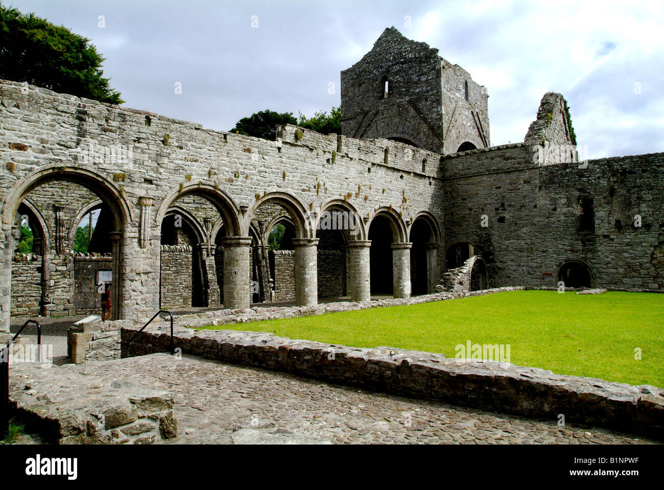 Boyle Abbey Roscommon Irland Stockfoto