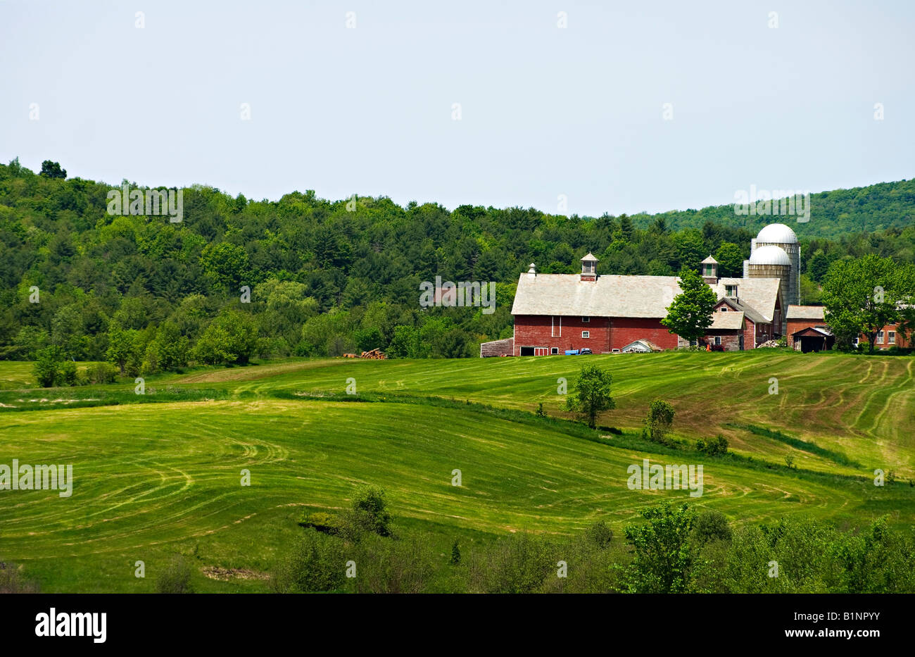 Vermont Familienbauernhof zeigt Felder sofort nach dem ersten Schnitt Heu am Ende Mai Stockfoto